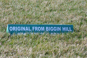 Paul Ricard ACO Test 2010 - Photo: Marcus Potts / CMC