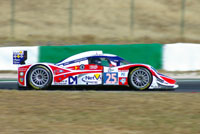 RML in the Algarve, July 2010. Photo: Marcus Potts