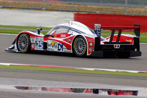 Mike Newton | Silverstone Le mans Series 2010 | Photo: Marcus Potts