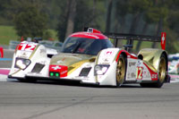 Paul Ricard 1000kms, April 2010. Photo: Marcus Potts