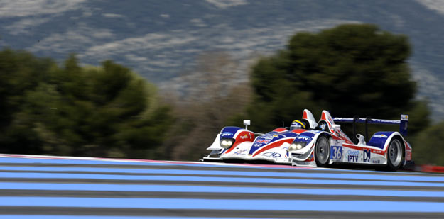 Erdos presses on. On the grid. Photo: Peter May, Dailysportscar