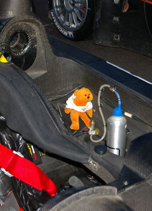 Danny Bear - more than just a passenger!