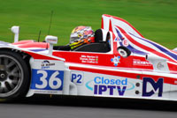 Click here for medium resolution file