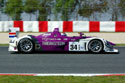 Click to view an enlargement. All photos by Marcus Potts / CMC